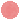 Albaricoque