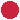 Amapola
