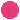 Azalea