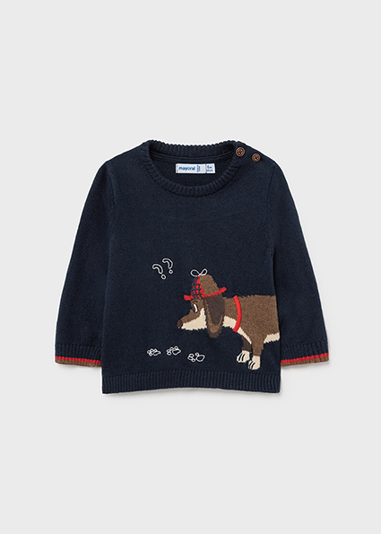 blue dog jumper